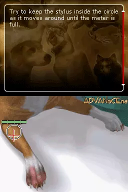 Image n° 3 - screenshots : Real Adventure - Pet Vet